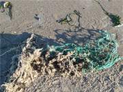 Strandgut: Am Ostseestrand des Bernsteinbades Zempin liegt ein Stück Fischernetz.