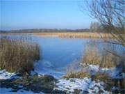 "Ltten Ort" zwischen den Usedomer Seebdern Koserow und Zempin im Winter.