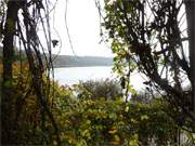 Durchblick: Hinter einer sehenswerten Uferlandschaft liegt der idyllische Klpinsee.