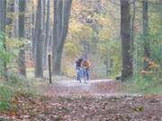 Durch das bunte Herbstlaub: Der Küstenradweg ist einer der schönsten Usedomer Radwege.
