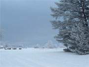 Schnee kommt: Wunderbares Licht ber den Wiesen bei Klpinsee.