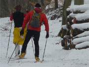 Wintersport auf Usedom: Skifahrer am Ufer des Wolgastsees im Hinterland des Kaiserbades Ahlbeck.