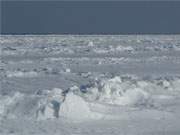 Trotz — oder gerade wegen des Tauwetters bilden sich auf der Ostsee Eisaufwerfungen.