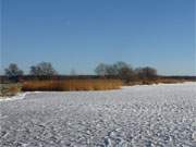 Es taut auf der Insel Usedom: Das noch gefrorene Stettiner Haff bei Kamminke.