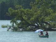 Bootsausflug mit Sonnenschutz: Uferlandschaft nahe der Peenemündung in den Peenestrom.