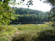 Der Mmmelkensee ist der Restsee eines Hochmoores auf der Insel Usedom.