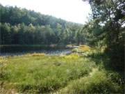 Usedomer Binnenseen: Der malerisch im Wald gelegene Mmmelkensee.