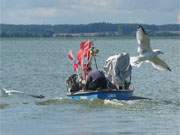 Mwen: Ein Fischerboot fhrt vom Hafen Loddin auf das Achterwasser hinaus.