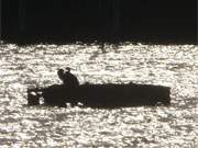 Kormorane in der Abendsonne: Die Melle, ein Arm des Achterwassers bei Loddin