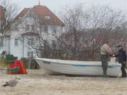 Zielstrebig: Eine Jungmwe bettelt Fischer am Bansiner Ostseestrand an.