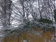 Am Kliffrand: Verschneite Steilkste zwischen ckeritz und Bansin.