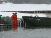 Bis zu den Knien im eiskalten Ostseewasser: Entladen eines Fischerbootes.