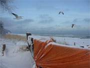 Bernsteinbad Loddin im Winterurlaub: Hungrige Mwen und gefrorene Ostsee.