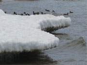 berhngende Eisberge am Ostseestrand des Seebades Zinnowitz auf Usedom.