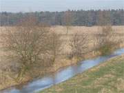 Sollen fr ein bizarres "Renaturierungsprojekt" geflutet werden: Peenewiesen bei Karlshagen.