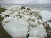 Wie ein Gletscher haben die vom Sturm bewegten Eisschollen groe Feldsteine auf die Mole transportiert.