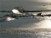 Achterwasser im Winter: Wie ein kleines Faltengebirge ragen die Eisschollen an Bruchkanten in die Hhe.