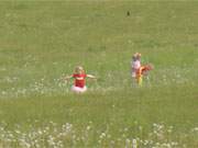 Lebensfroh: Kinder spielen auf einer Wiese bei Neverow im Usedomer Haffland.