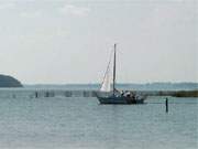 Wassersportparadies Insel Usedom: Segelboot auf der Krumminer Wiek zwischen Wolgaster Ort und Gnitz.
