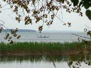 Fischerei auf dem Achterwasser: Stellnetz vor der Küste der Usedomer Halbinsel Gnitz.