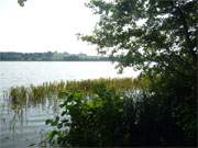 Am Seeufer: Bei Neu-Sallenthin liegt der Kleine Krebssee im Hinterland der Usedomer Kaiserbder.