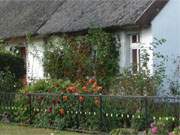 Hinterland der Insel Usedom: Liebevoll gestalteter Vorgarten eines Bauernhauses in Stolpe.