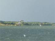 Blick von der Achterwasserinsel Grmitz: Die Usedomer Halbinsel Gnitz.