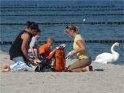 Ruhig, individuell und gelassen: Sptsommertag am Ostseestrand von Klpinsee.