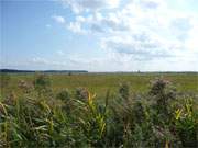 Sptsommer auf der Insel Usedom: Landschaft an der Krumminer Wiek.