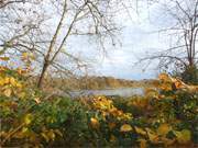 Seebad Loddin auf Usedom: Der Kölpinsee in einer bezaubernden Herbstfärbung.