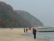 Beim Ostseebad Koserow liegt der Streckelsberg, der nun in warme Herbstfarben getaucht ist.