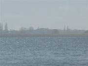 Der Nebel über der Insel Usedom lässt das Ufer des Balmer Sees verschwimmen.