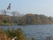 Herbstliche Ufer: Blick über den Kölpinsee auf Usedom.