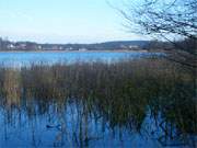 Blick über den Kleinen Krebssee: Das Usedomer Hinterland im Winter.
