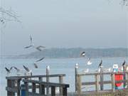 Der Balmer See ist ein Teil des Achterwassers an der Insel Usedom.