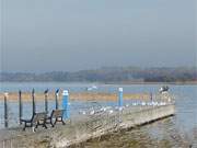 Steg in den Balmer See: Am Golfhotel Balm im Hinterland der Insel Usedom.