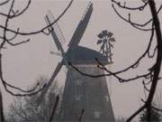 Blick zum Mhlenberg von Benz: Die Hollnderwindmhle.
