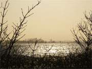 Naturpark Insel Usedom: Blick ber das Achterwasser.