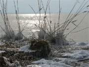 Winter auf der Insel Usedom: Eis an der Achterwasserküste bei Zinnowitz.