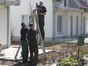 Ferienhof 'Alter Schulgarten' im Seebad Loddin: Der Garten wird fertig.