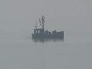 In der dunstigen Ferne liegt ein Fischerboot auf dem Achterwasser nahe Ltow.