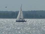 Wassersportgebiet Achterwasser: Segelboot auf dem Balmer See.