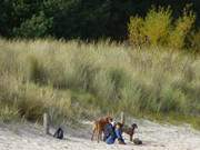 Urlaub mit Hund: Den warmen Oktober am Ostseestrand genieen.