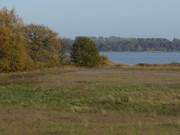 Herbst an der Usedomer Achterwasserkste: Halbinsel Cosim.