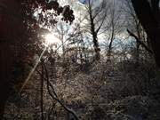 Schnee auf jedem Zweig: Impressionen am Ufer des Klpinsees.