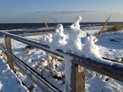 Fantasievoll: Schneeskulpturen auf der Seebrücke von Bansin.