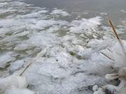 Bonsai-Eisschollen: Das Achterwasser an der Halbinsel Cosim.