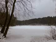 Blick ber einen verschneiten Waldsee: Das "Schwarze Herz".