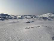 Am Konker Berg bei Pudagla: Eisschollen auf dem Achterwasser.