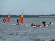 Surfen lernen auf Usedom: Wassersport auf dem Achterwasser.